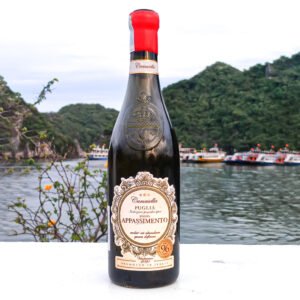 Rượu vang Ý Camasella Appassimento Puglia – Vang Ý Đậm Đà, Hậu Ngọt Dài | Rượu Vang Nhập Khẩu Cao Cấp cm | Rượu Vang Nhập Khẩu Cao Cấp