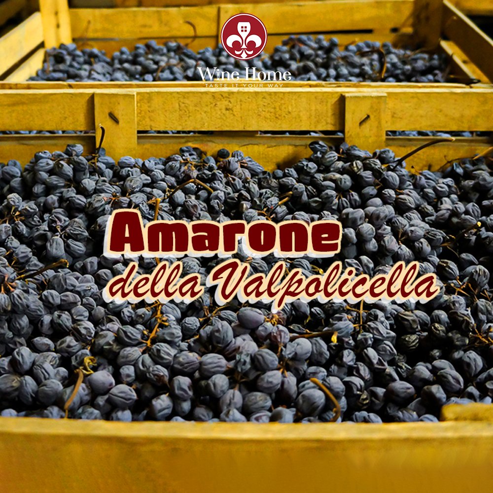 amarone della valpolicella