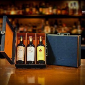 Hộp quà rượu vang 3 chai rượu vang Ý thương hiệu Paradiso