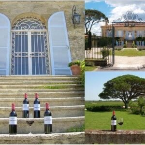 Rượu Vang Pháp Chateau De Camensac Haut Medoc 2016 – Vang Đỏ Grand Cru Classe Đẳng Cấp | Rượu Vang Nhập Khẩu Cao Cấp chateau de camensac
