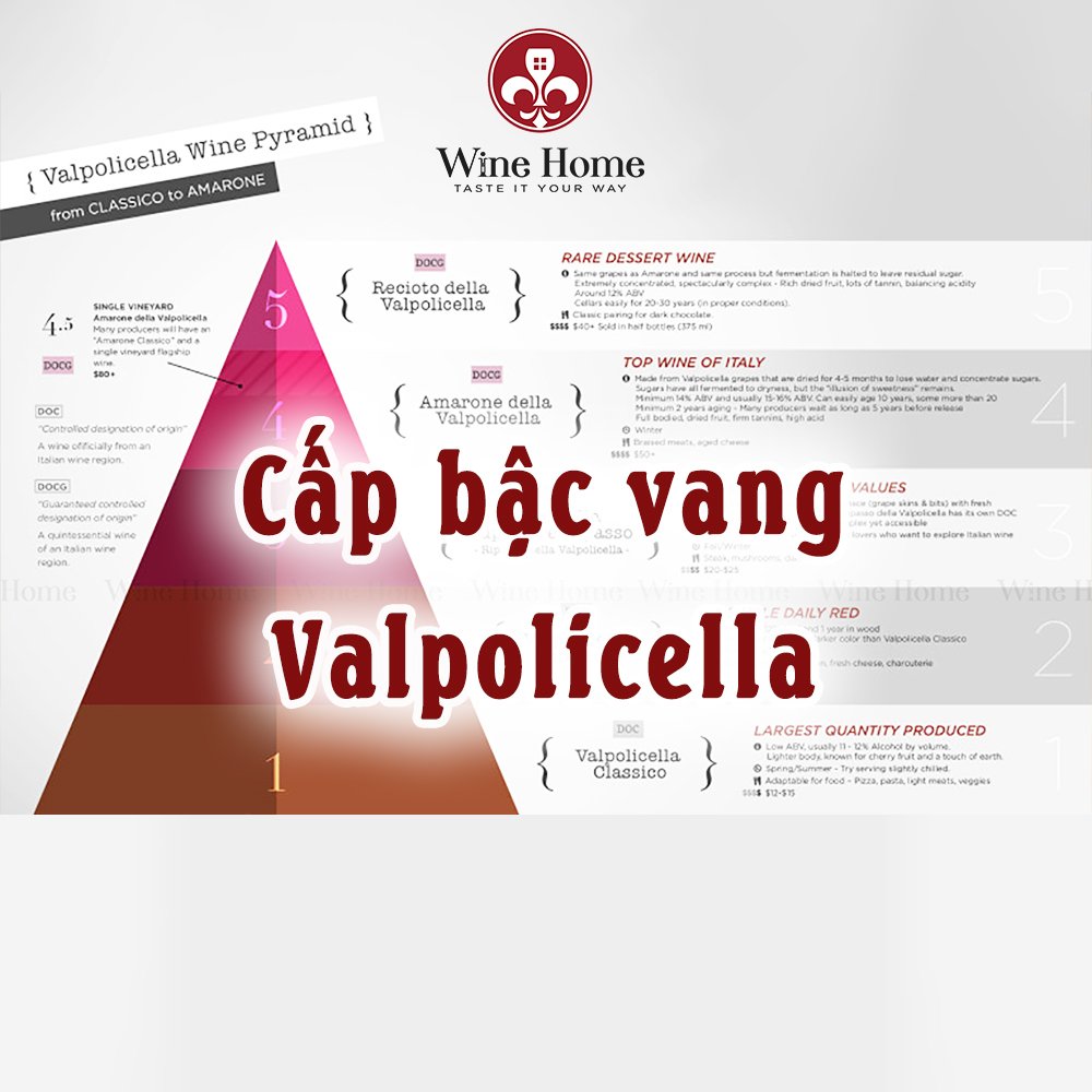 Valpolicella là gì ? Các cấp bậc rượu vang Valpolicella | Rượu Vang Nhập Khẩu Cao Cấp rượu vang vùng valpolicella,cấp bậc vang valpolicella