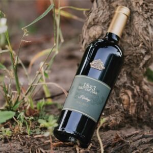 Rượu Vang Argentina 1853 Old Vine Estate Heritage – Tuyệt Tác Từ Vườn Nho Cổ Thụ | Rượu Vang Nhập Khẩu Cao Cấp Rượu Vang Argentina 1853 Old Vine Estate Heritage