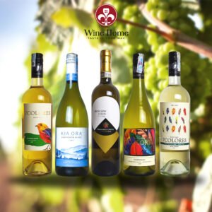 rượu vang trắng 500k