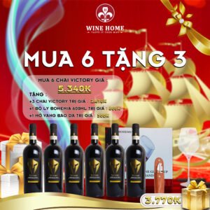 DNVN2 2024 web | Rượu Vang Nhập Khẩu Cao Cấp