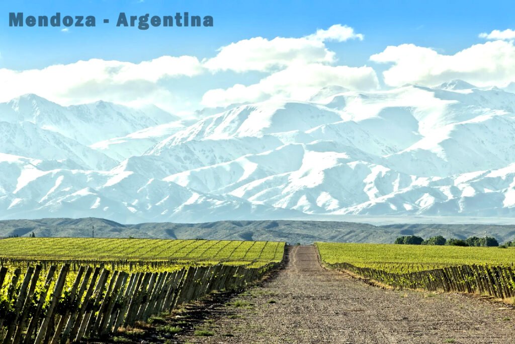 Tìm hiểu vùng rượu vang Mendoza Argentina P.2 | Rượu Vang Nhập Khẩu Cao Cấp Vùng rượu vang Mendoza