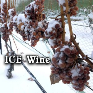 Ice Wine