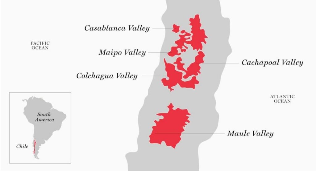 Vùng rượu vang Maule Valley – Tinh hoa rượu vang Chile | Rượu Vang Nhập Khẩu Cao Cấp Maule Valley Chile