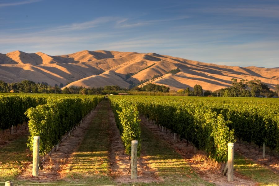 Vùng rượu vang Marlborough