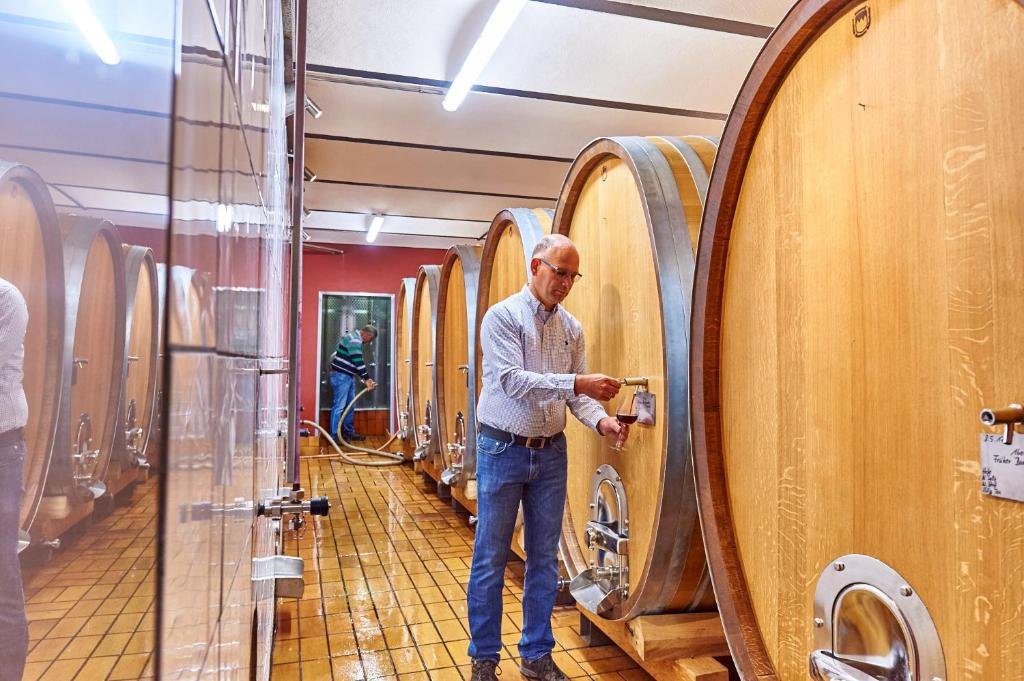 Tìm Hiểu Thương Hiệu Rượu vang Kessler Zink – Biểu tượng chất lượng của vùng Rheinhessen | Rượu Vang Nhập Khẩu Cao Cấp Hầm ủ rượu tại kessler Zink
