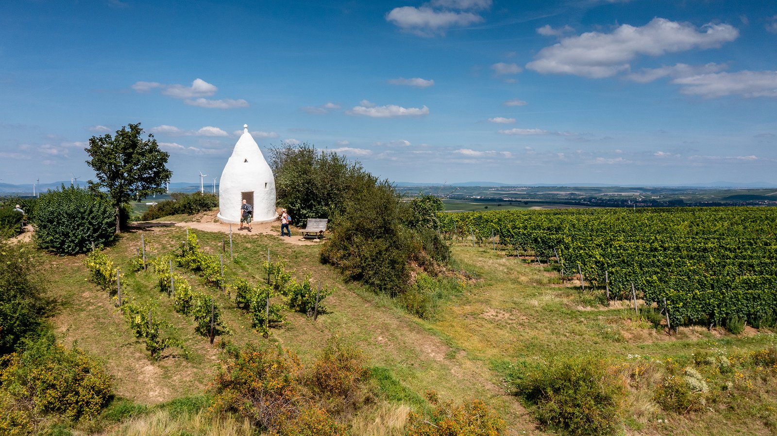Tìm Hiểu Thương Hiệu Rượu vang Kessler Zink – Biểu tượng chất lượng của vùng Rheinhessen | Rượu Vang Nhập Khẩu Cao Cấp Vùng làm rượu vang Rheinhessen