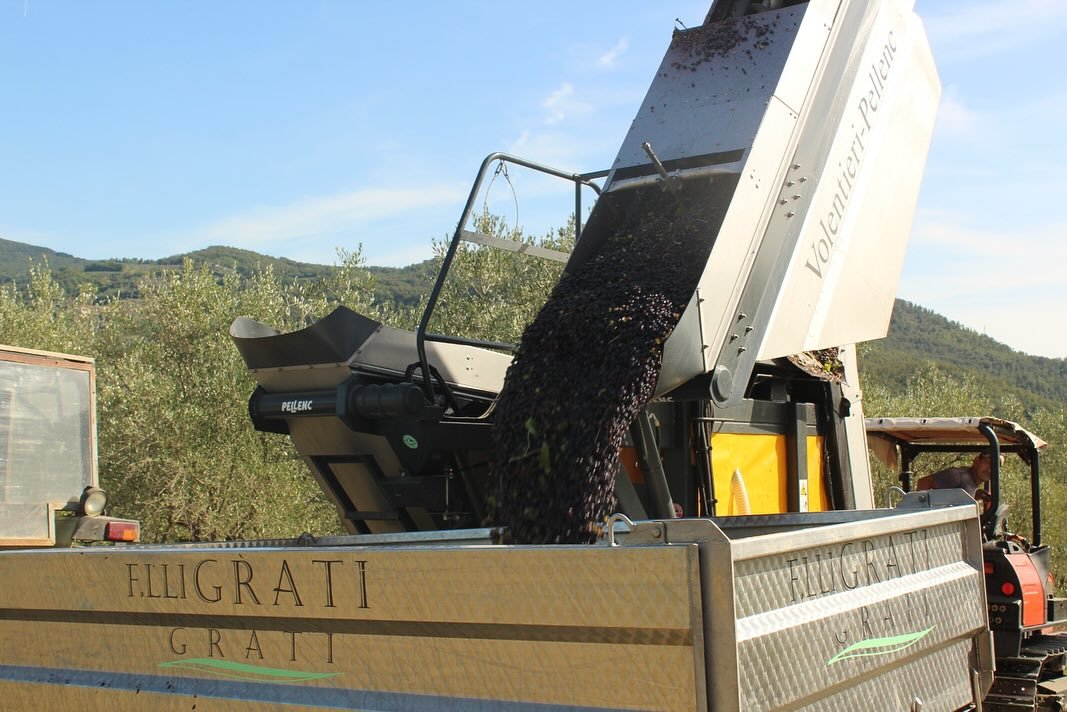 Vinicola Grati