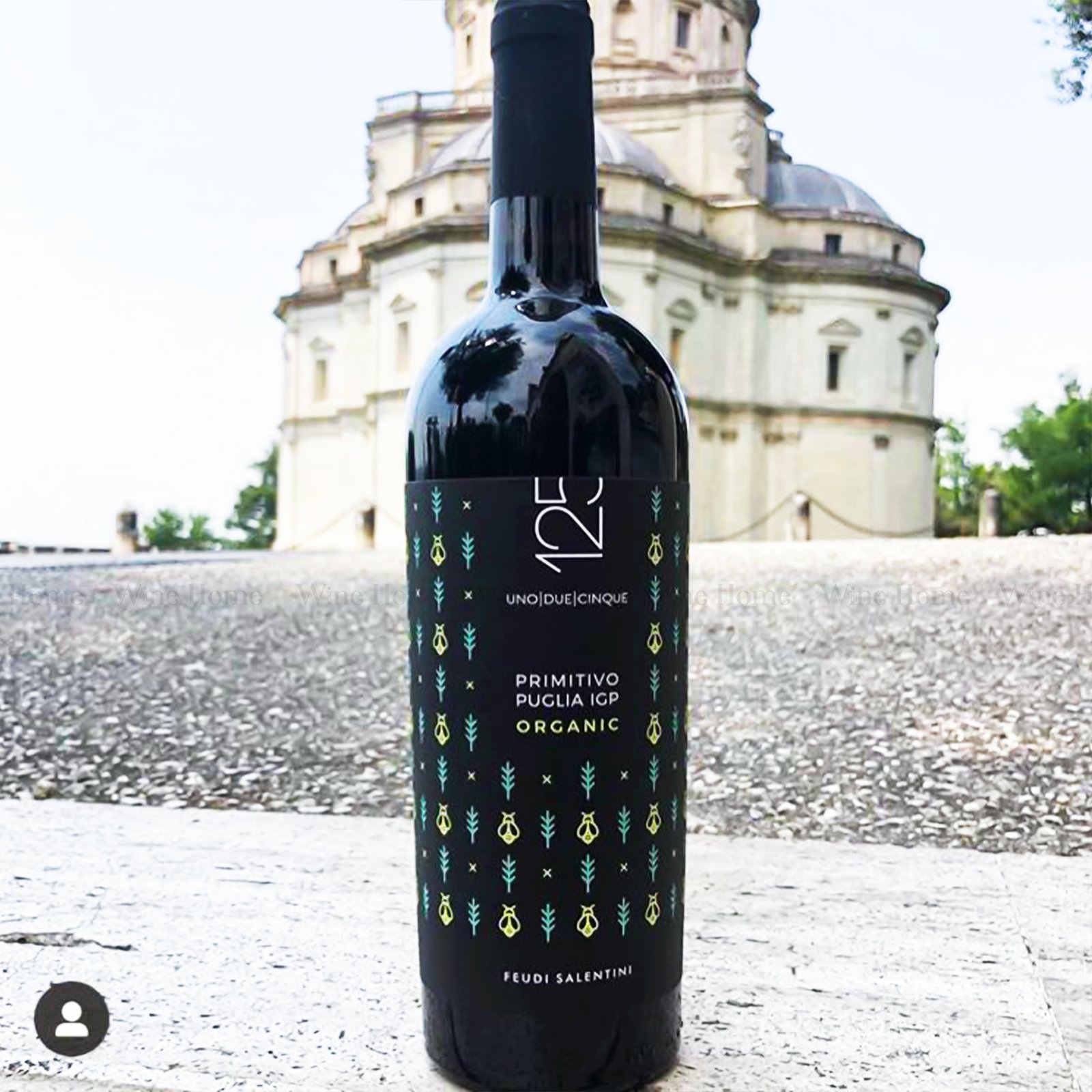Rượu Vang Ý 125 Primitivo Organic – Đậm Đà Hương Vị Tự Nhiên | Rượu Vang Nhập Khẩu Cao Cấp Rượu Vang Ý 125 Primitivo Organic
