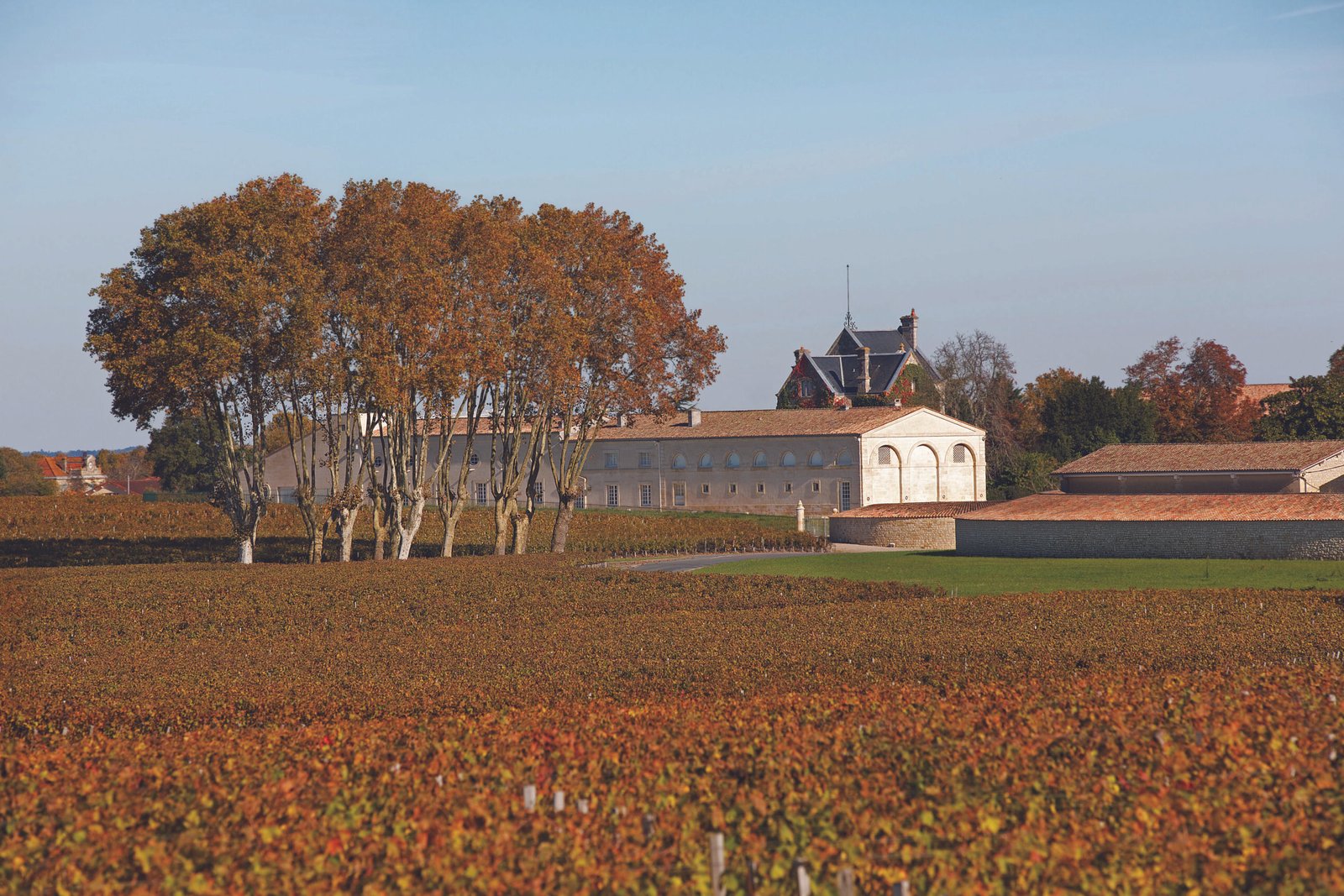 chateau mouton rothschild