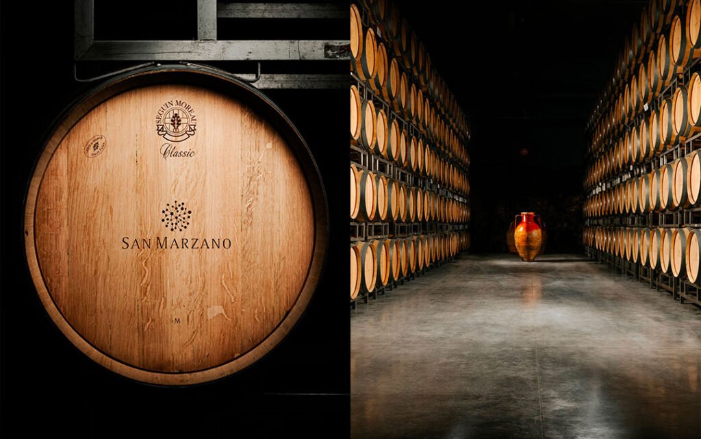 Cantine San Marzano – Di sản rượu vang Puglia từ năm 1962 | Rượu Vang Nhập Khẩu Cao Cấp Cantine San Marzano