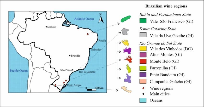 Khám Phá Rượu Vang Brazil – Sự Trỗi Dậy Từ Nam Mỹ | Rượu Vang Nhập Khẩu Cao Cấp Bản đồ rượu vang Brazil
