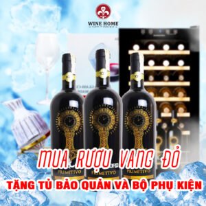 Mua Rượu Vang Đỏ – Nhận Tủ Bảo Quản Và Bộ Phụ Kiện Cao Cấp Từ WineHome
