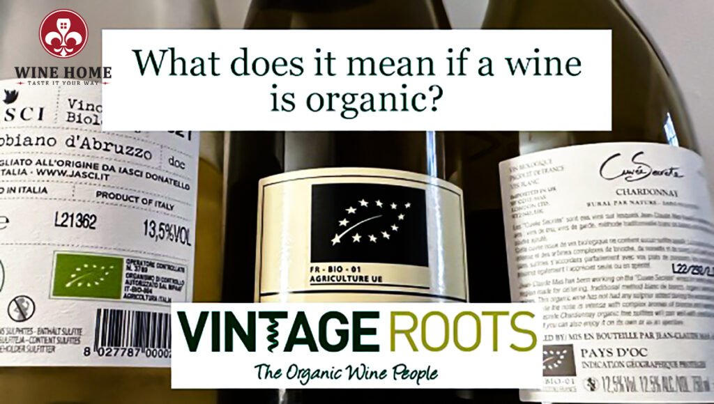 Trải nghiệm rượu vang đỏ hữu cơ: khác biệt thế nào? | Rượu Vang Nhập Khẩu Cao Cấp Tìm hiểu rượu vang hữu cơ