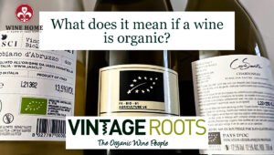 Tìm hiểu rượu vang hữu cơ