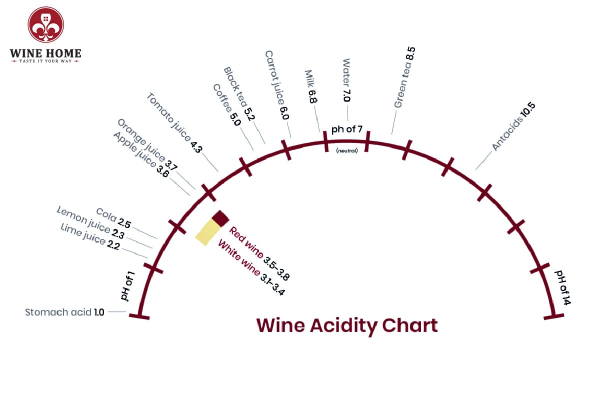 Độ axit ảnh hưởng thế nào đến vị vang đỏ? Tìm hiểu từ A–Z cùng WineHome | Rượu Vang Nhập Khẩu Cao Cấp Độ axit ảnh hưởng thế nào đến vị vang đỏ?