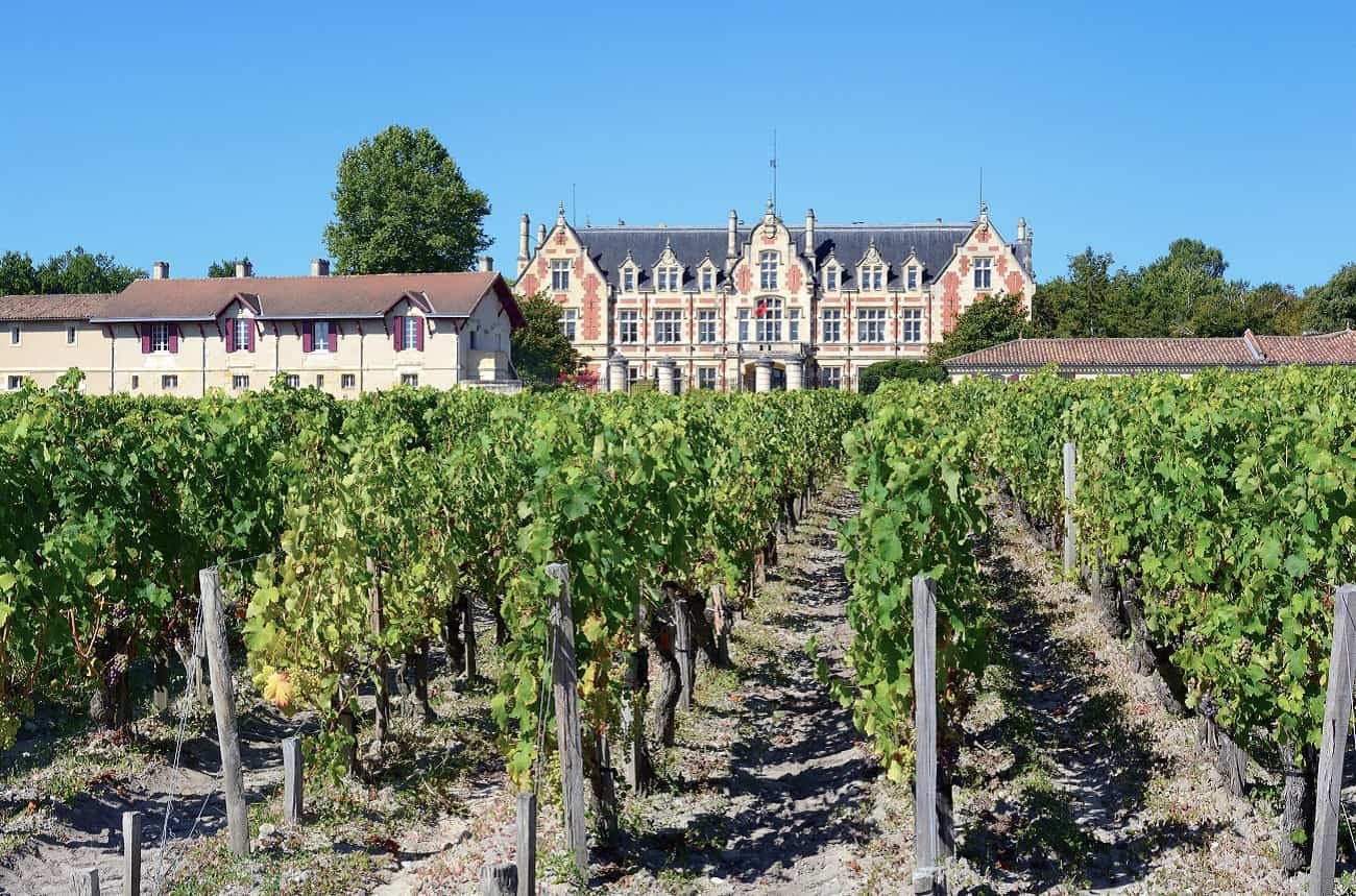 Vườn Nho Chateau Cantenac Brown