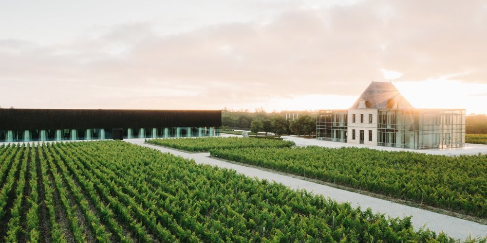Chateau Pedesclaux