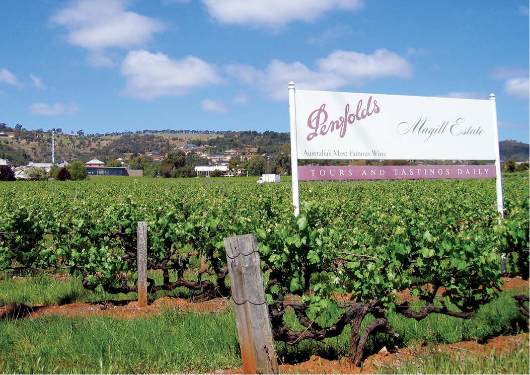 Vườn nho Penfolds