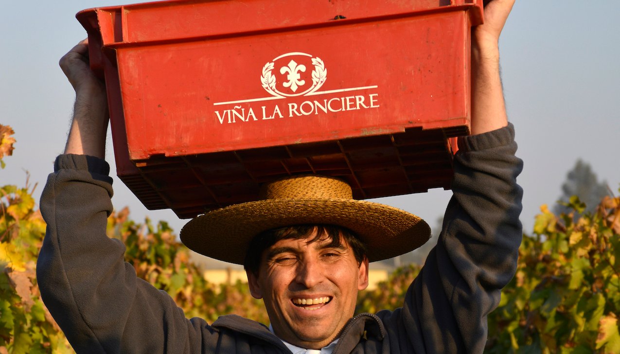 Vina la Ronciere