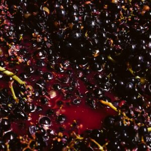 RƯỢU VANG ĐỎ ĐƯỢC TẠO RA NHƯ THẾ NÀO?