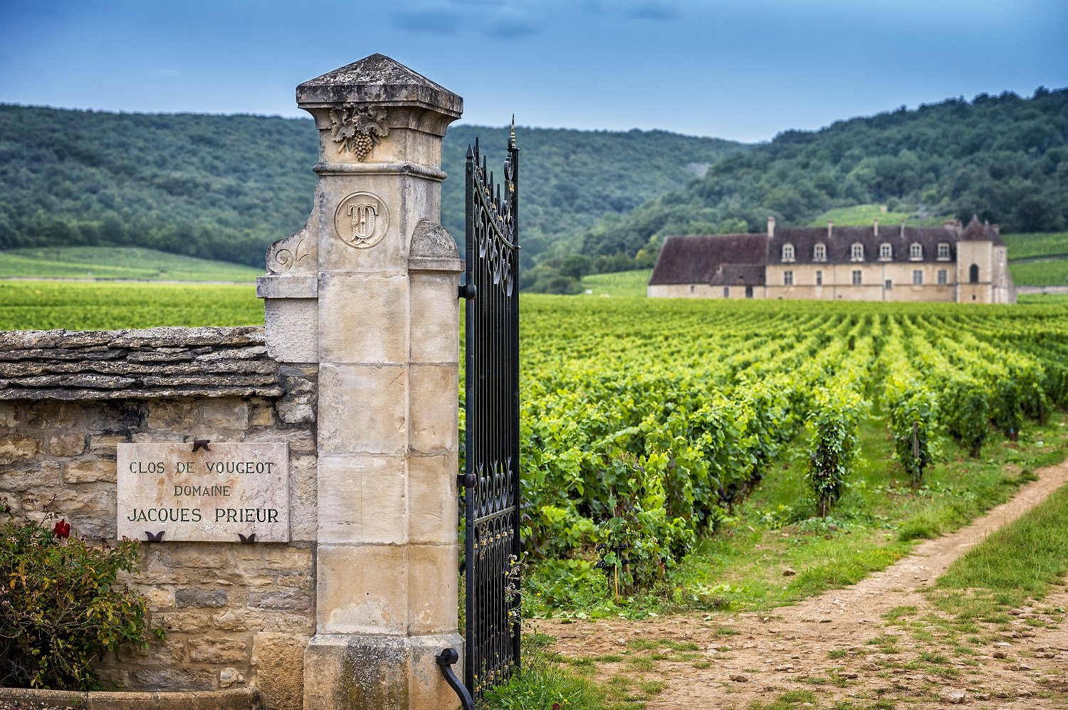 Tìm hiểu vùng Burgundy – Nơi sản sinh ra Pinot Noir thượng hạng | Rượu Vang Nhập Khẩu Cao Cấp Các vườn nho tại Burgundy