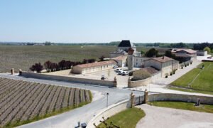 Ruộng nho Chateau Brane Cantenac