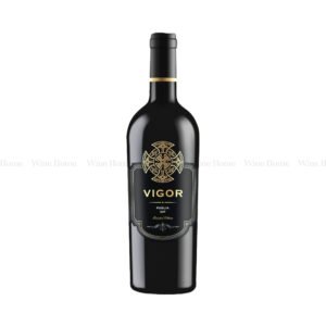 Rượu Vang Ý Vigor Puglia IGP