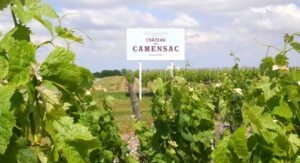 Vườn nho Chateau de Camensac