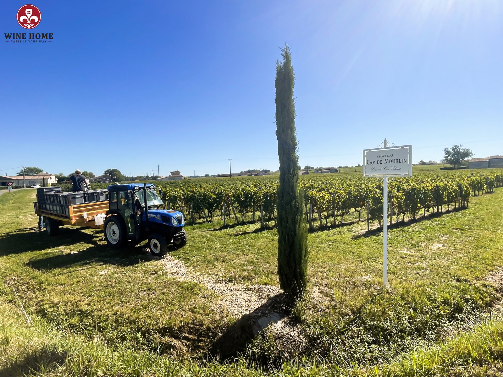 Khám Phá Chateau Cap de Mourlin – Biểu Tượng Grand Cru Classé Vùng Saint-Émilion | Rượu Vang Nhập Khẩu Cao Cấp Chateau Cap de Mourlin